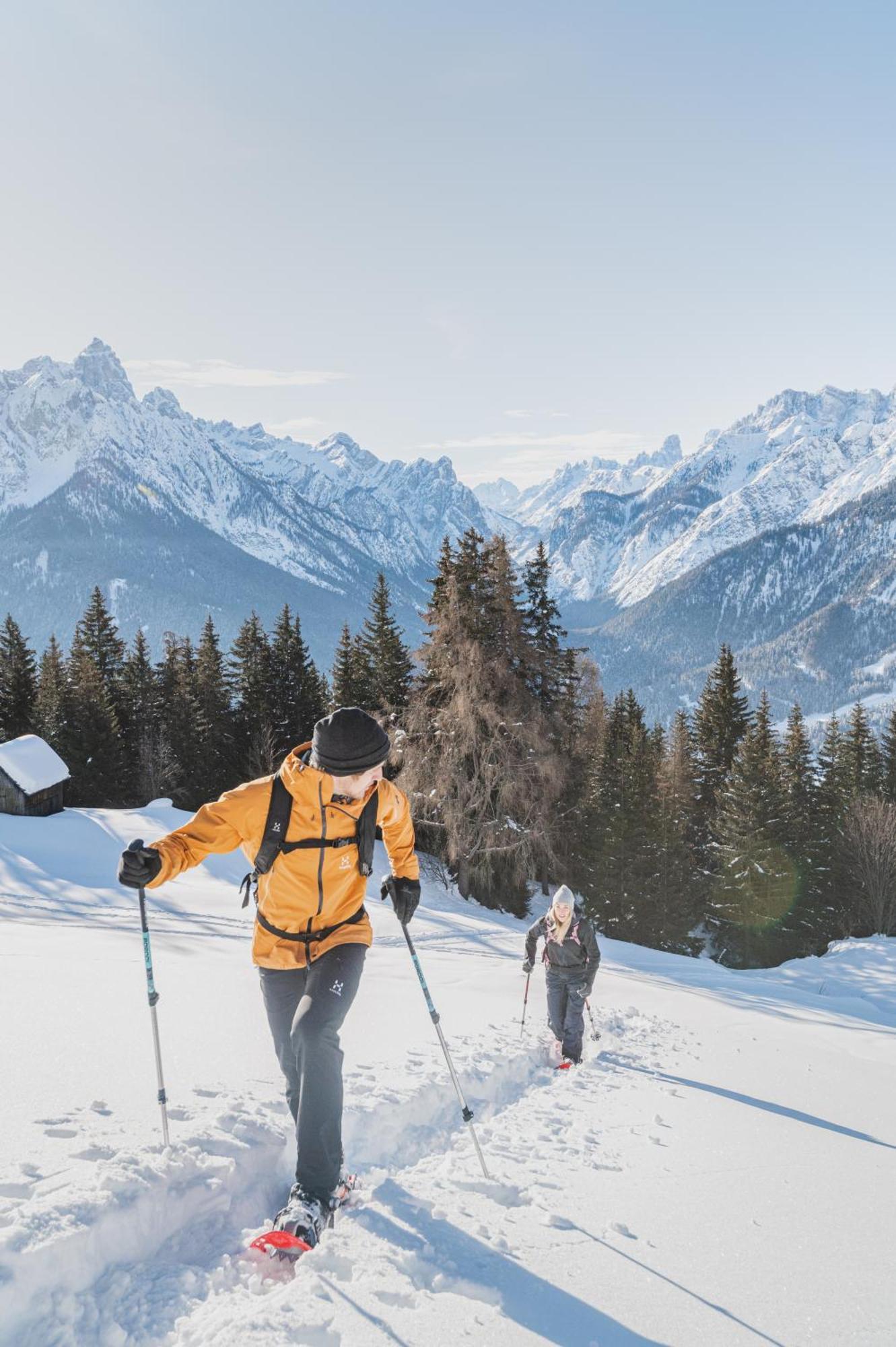 Montanaris Alpine - Active - Relax Hotel วิลลาบาสซา ภายนอก รูปภาพ